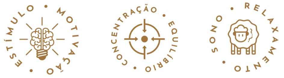 estimulo concentracao sono